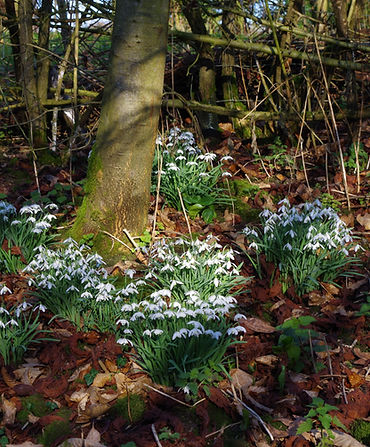 Nature Reserve